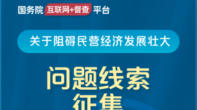 黄片草逼国务院“互联网+督查”平台公开征集阻碍民营经济发展壮大问题线索